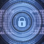 Probe IT cyber insurance