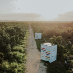 Veille-cyber.com