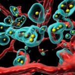cancerous tumors eliminate