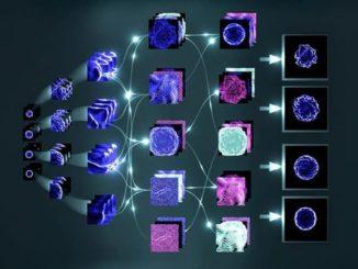 USING MOLECULAR BIOLOGY AND MACHINE LEARNING TO DETECT CANCER