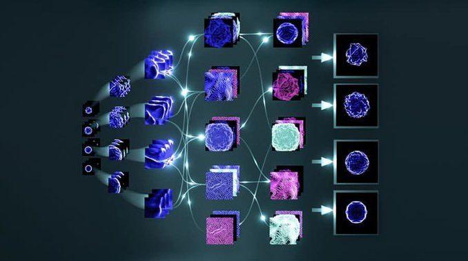 USING MOLECULAR BIOLOGY AND MACHINE LEARNING TO DETECT CANCER