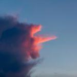 Europe's 'soonicorns': Who will be next to reach a $1B valuation?