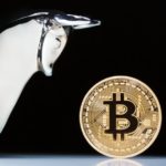 Next bitcoin bull run won’t happen until end 2024