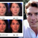 Fidelity vs. Realism in Deepfake Videos