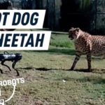 A robot dog entered a zoo. The animals were not fans.