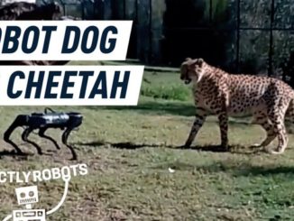 A robot dog entered a zoo. The animals were not fans.