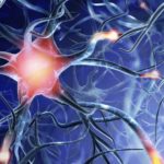 The hidden brain of AI