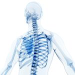 AI can tell your race from an X-ray image