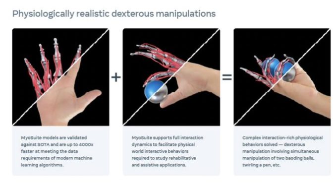 An embodied AI platform that unifies neural and motor intelligence