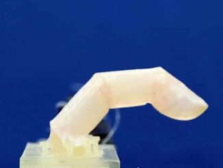 Scientists make ‘slightly sweaty’ robot finger with living skin