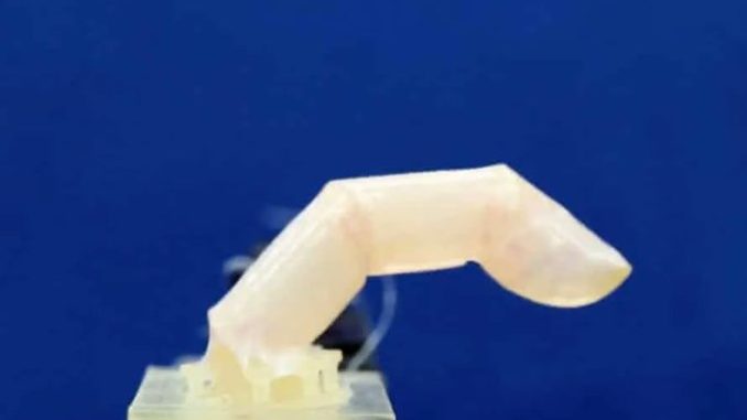 Scientists make ‘slightly sweaty’ robot finger with living skin