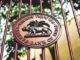 Does India really need a central bank digital currency