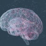 ai chatbot