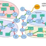Machine Learning Algorithms