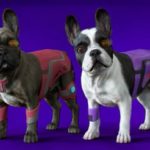 Why on earth are people investing in metaverse pets?