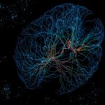 NeuralNetworks