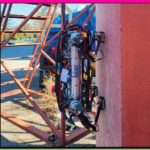 robotdog