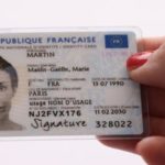 Fraude sociale