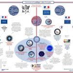 communaute cyber fr 2020