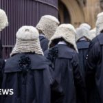 Legal profession